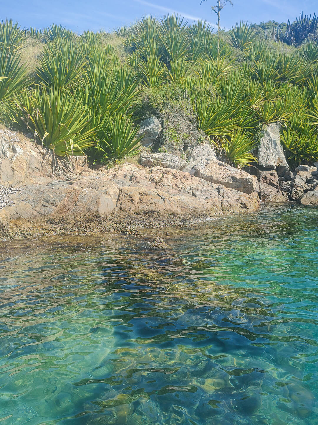 Foto da enseada da Praia do Forno