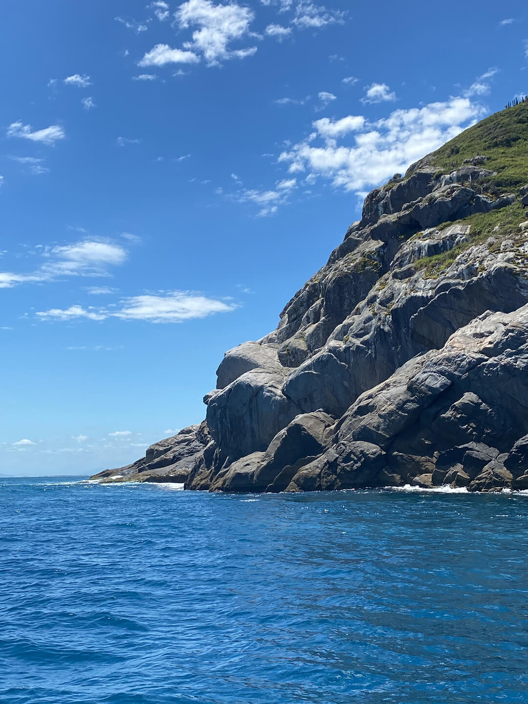 Foto do perfil do Gorila